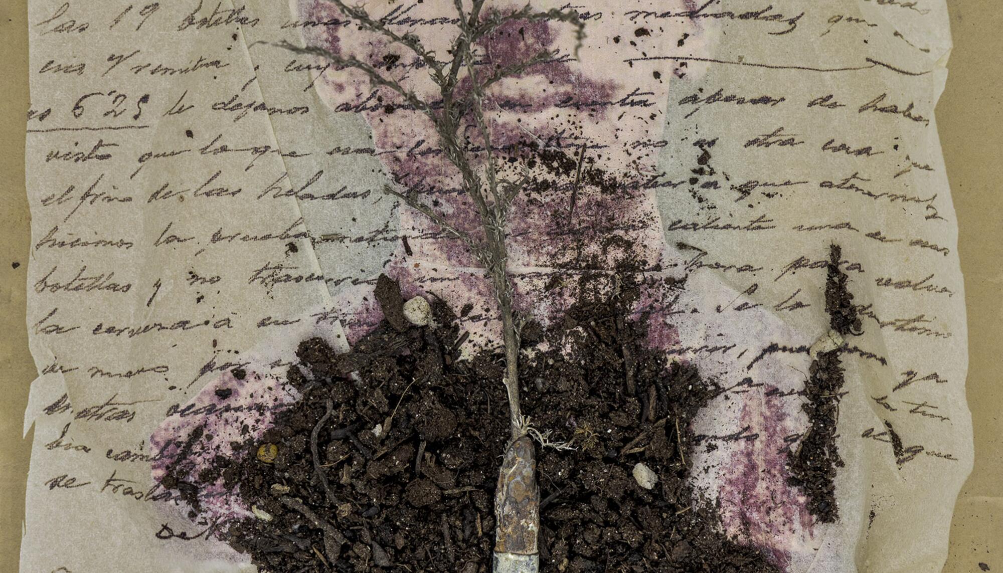 Contigo Empezó todo 78